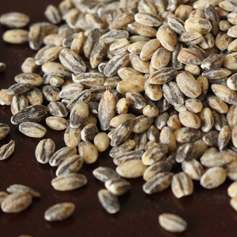 黑麦仁小麦500g 麦仁米农家黑麦米去皮黑麦 富硒黑小麦 杂粮 免邮_7折