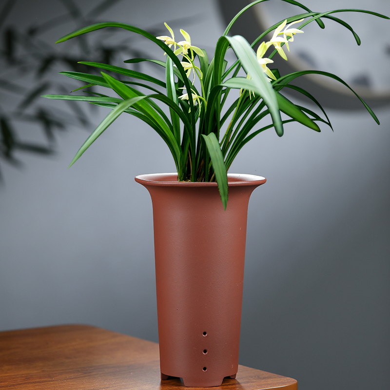 花盆鸿韵兰花专用陶瓷紫砂兰草盆圆口素面建寒花盆