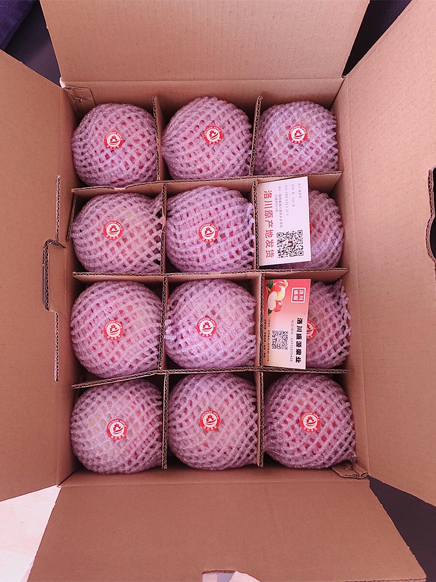 精品礼盒24颗装大果洛洛川苹果陕西正宗新鲜苹果