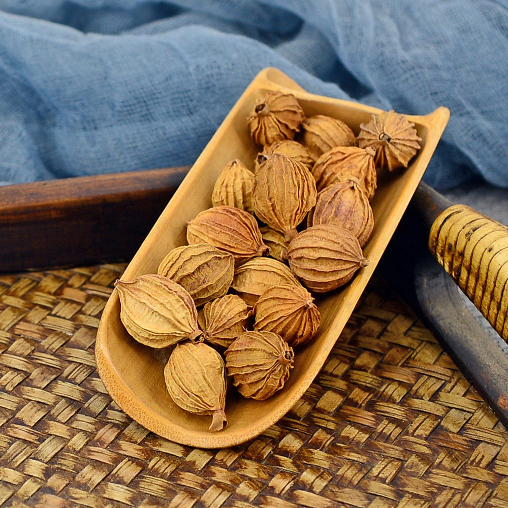 静萱香砂仁500g克中药材散装正品川沙仁调味料香料茶可磨香砂仁粉