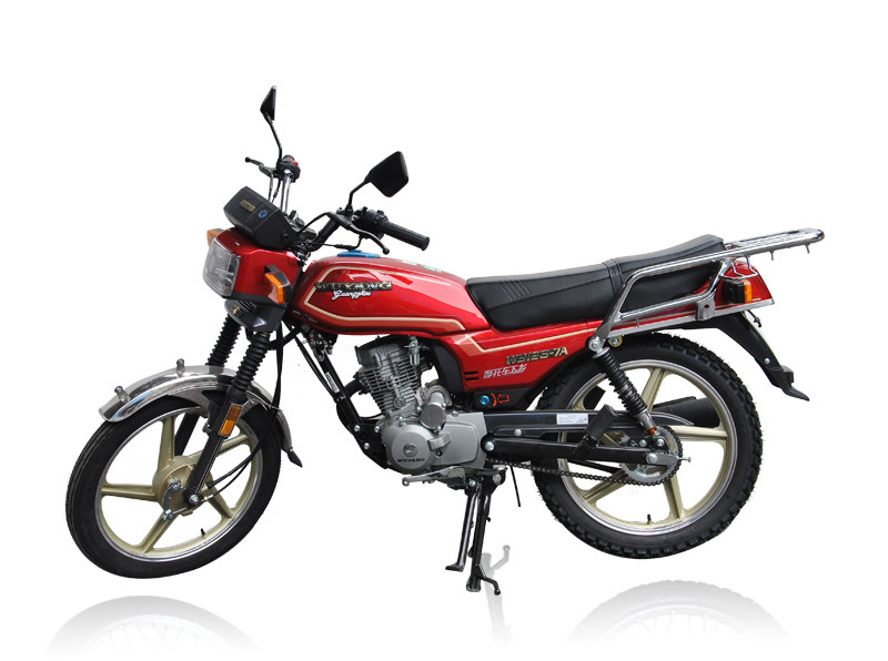 链条大阳摩托车钱江wy125-a-h-c-f-n-m链条