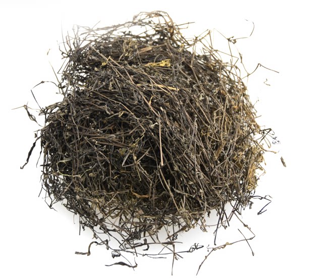 蛇舌野生白花500克草潮汕凉茶原料草中草药药材其他药食同源食品