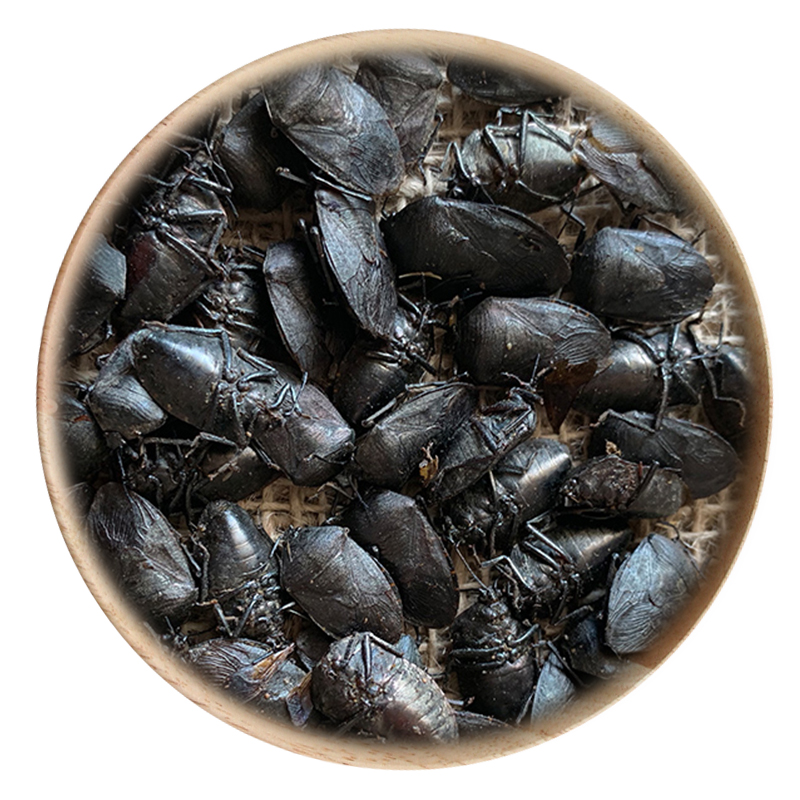 同仁堂质量中药材九香打屁屁巴50克可打无硫包邮其他药食同源食品