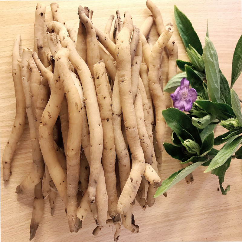 土太子参浙江名贵药材鲜参菜头肾500g补腰痛养肝养肺煲汤外用泡酒