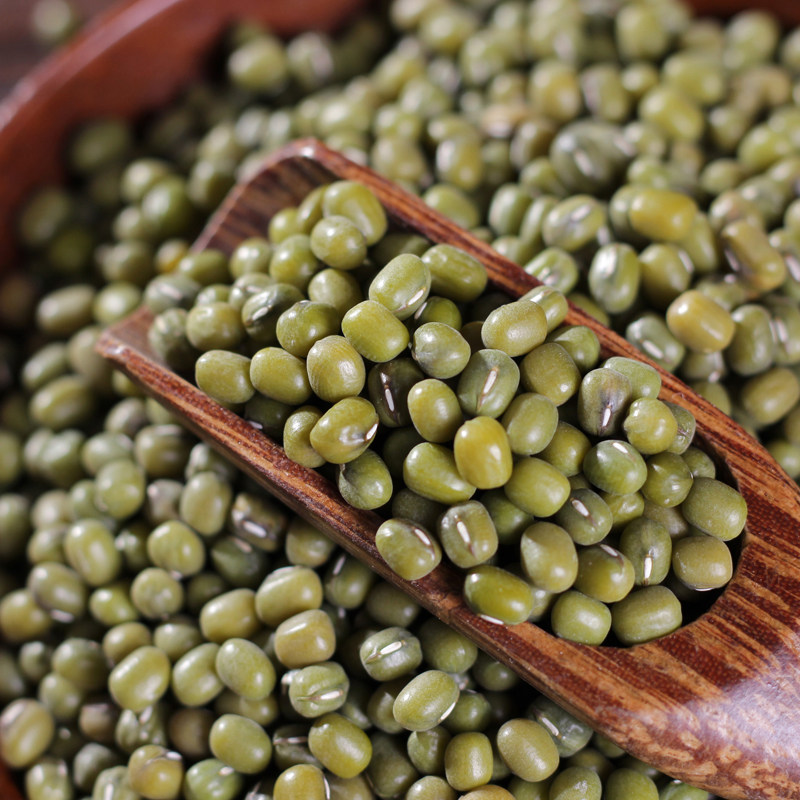 特产绿豆云南农家自种干豆五谷杂粮精选粮油500g绿豆