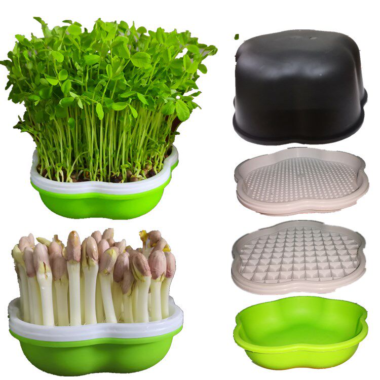 花生芽水培箱家用花生芽种植盒多功能芽苗菜豆芽种植盘无土种菜盆