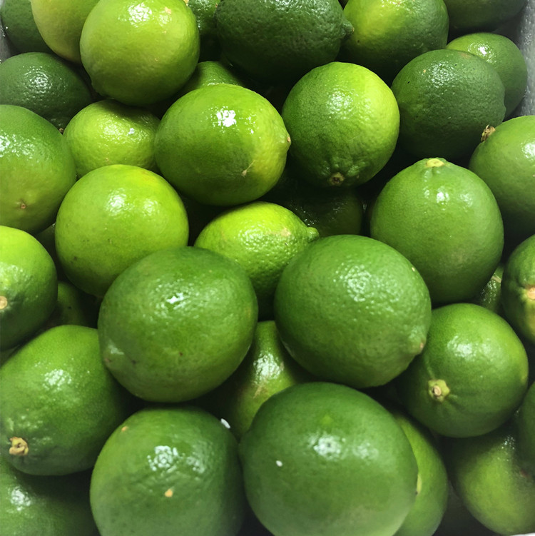 新鲜现摘泰国品种无籽青柠檬5斤柠檬小青青柠柠檬