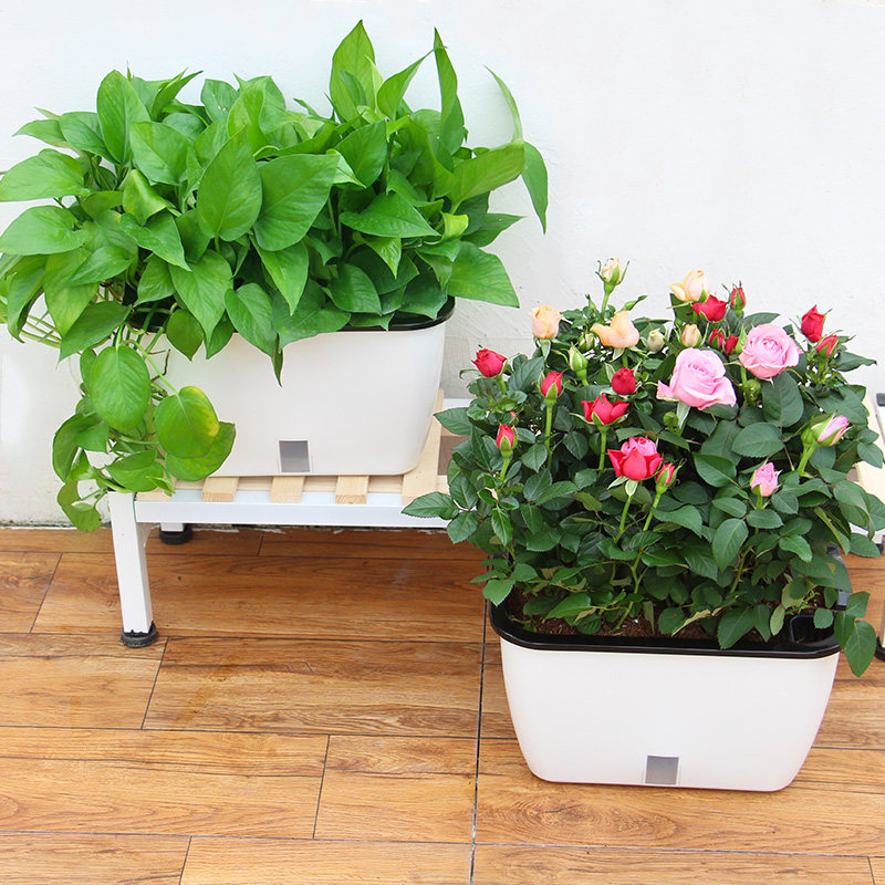 阳台种菜菜盆草莓盆栽塑料吸水花盆室外外水花盆