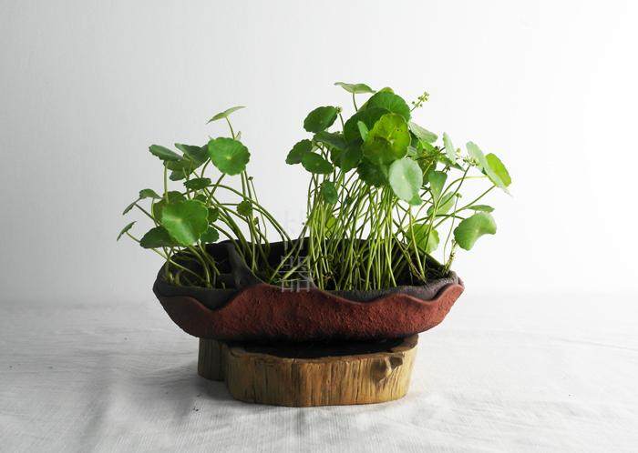 朴器粗陶花盆家居装饰陶艺培土培多植物创意手工花盆