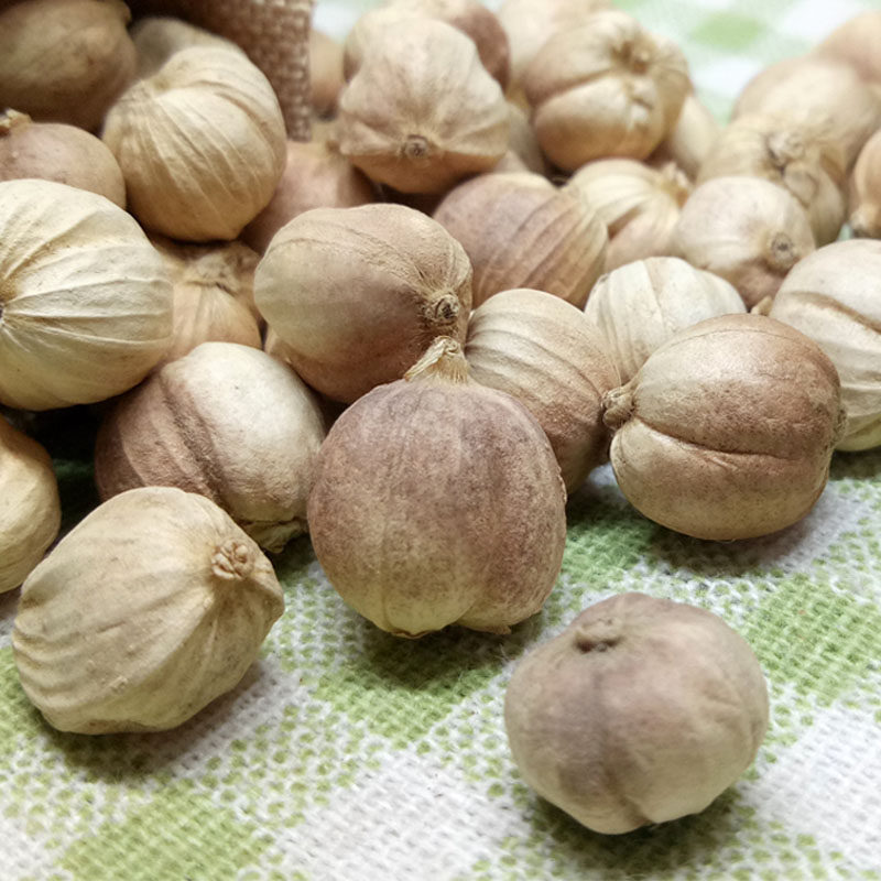 白豆蔻白叩另陈皮丁香胡椒白芷寇仁白扣白调料香料花椒