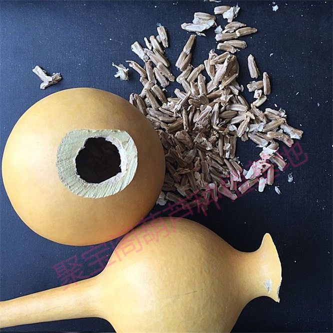 中号八宝葫芦种子长嘴细腰型苗秧巨型特超大小葫芦