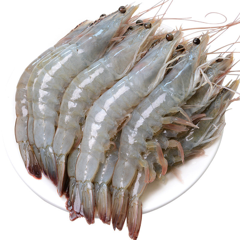 大虾鲜活海鲜水产青岛超大冷冻基围虾海虾鲜虾青虾速冻特大对虾活