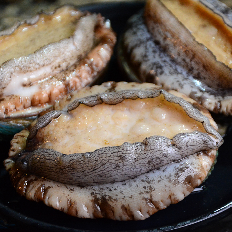 鲍鱼青岛鲜活1斤装68只新鲜海九孔海鲜水产鲍鱼