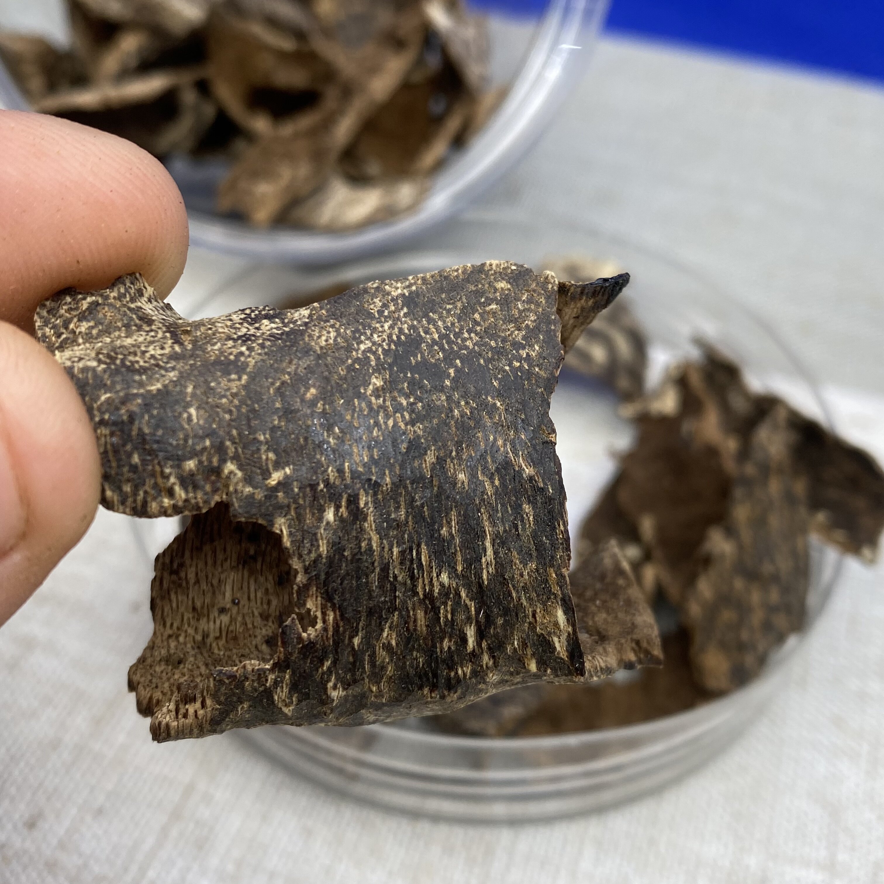 天然海南鸡母虫漏沉香保真老香9分沉水油脂香薰香料