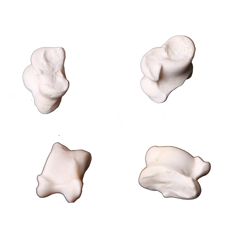 真羊嘎拉羊拐髀石旮旯哈羊骨头子怀旧玩具精选其他户外休闲玩具