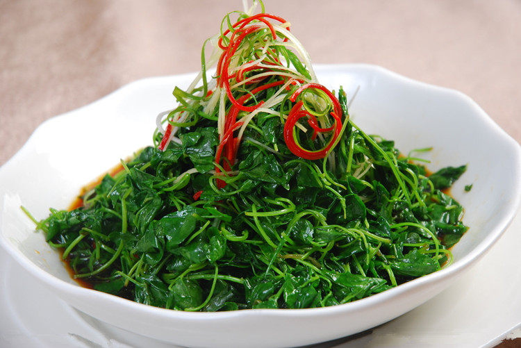 苏北无烂叶全嫩现卖现割秧草苜蓿草花菜特产金花菜叶菜类