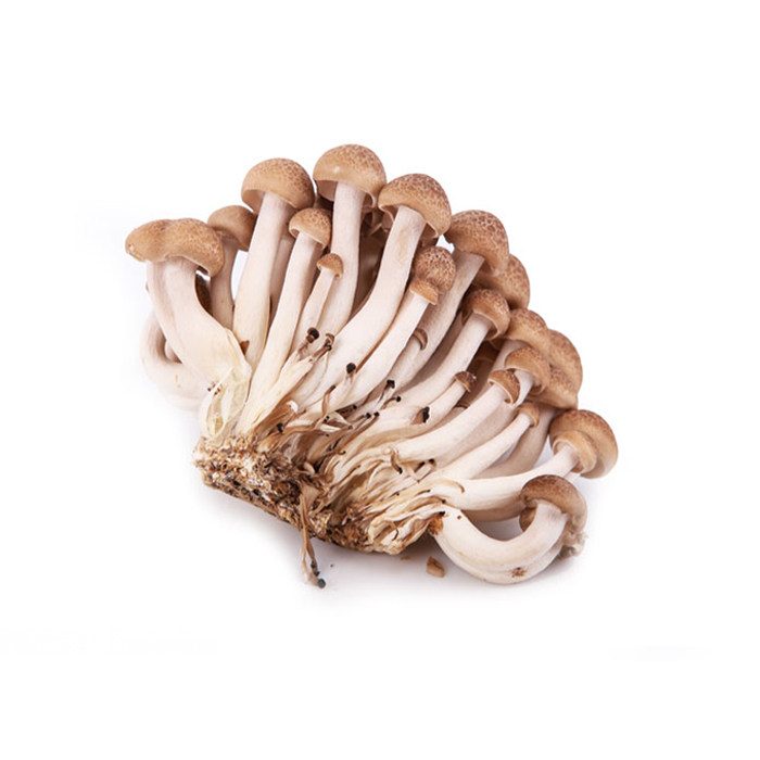 林庄园蟹味菇150g/盒 新鲜菌类时鲜菌烧汤鲜美任选5件顺丰包邮 - 林