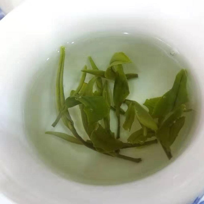 四川广元特产青川七佛贡茶绿茶2022年新茶100g特色产区绿茶