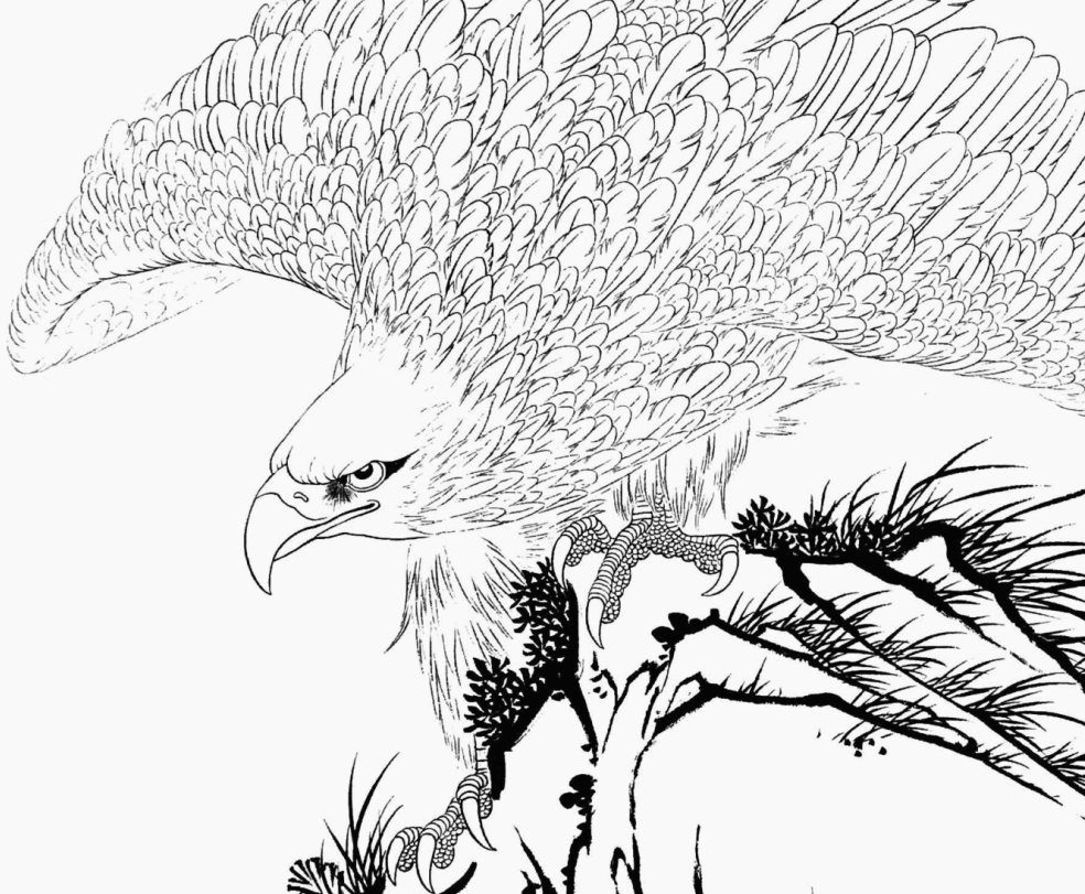 工笔画底稿花鸟郑路迅工笔横幅白描打印稿宣纸有步骤国画