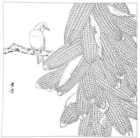 工笔画底稿龚雪青玉米燕雀白描打印稿宣纸有步骤国画