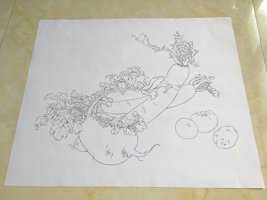 工笔画打印稿宣纸笔勾毛笔勾底稿白描蔬果萝卜工笔国画