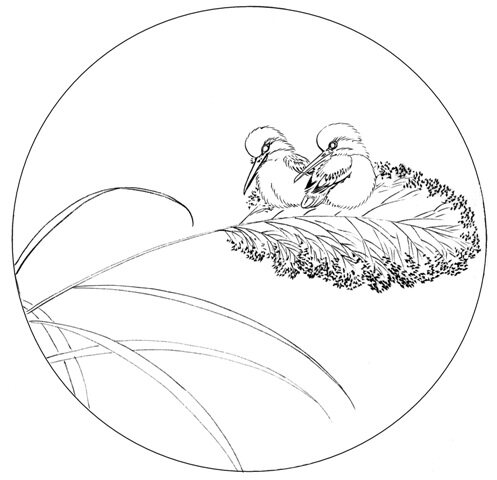 工笔画底稿工笔花鸟扇面白描打印稿宣纸本店拷贝国画