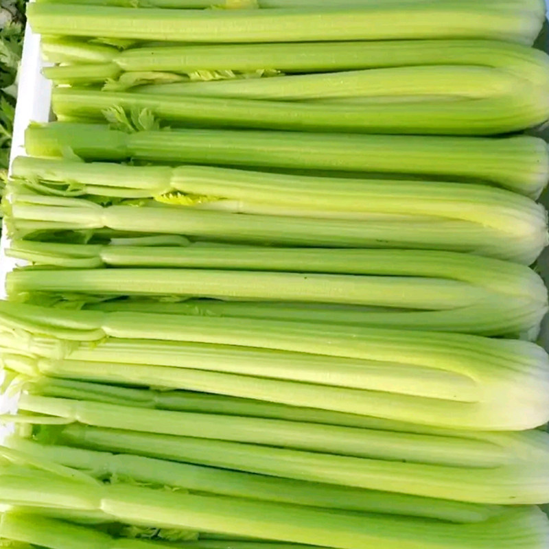华煜法国皇后进口原装西芹种子四季播芹菜种家庭园艺种子