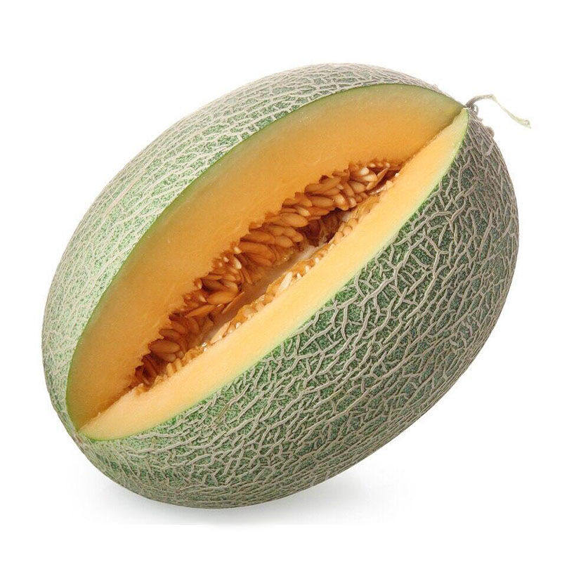 种子绿洲17号新疆绿皮密网哈密瓜特甜瓜果甜瓜家庭园艺种子