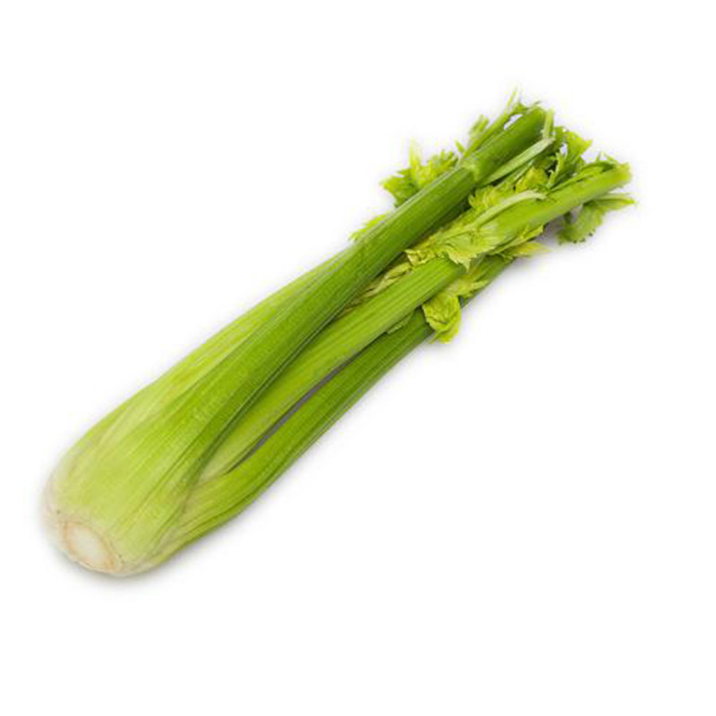 种子皇后芹菜法国clsue公司原装进口西芹100g原装家庭园艺种子