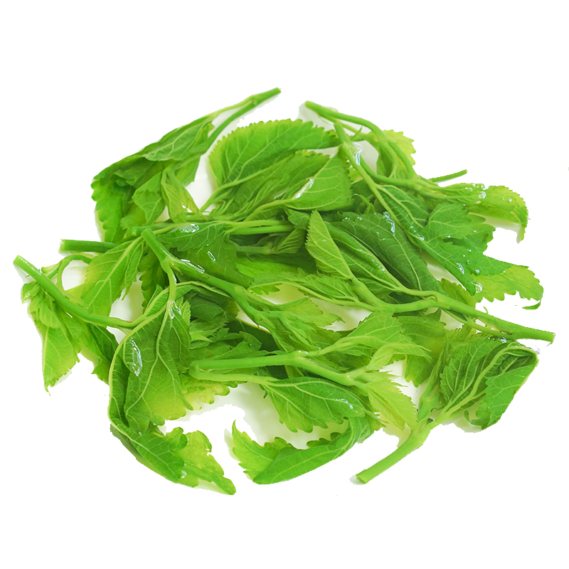 桑叶食用10包250g煲汤火锅速冻蛋白桑芽绿色其它