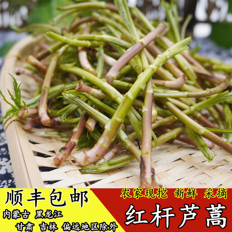 顺丰包邮1斤芦蒿晶凤无为特产泥蒿菜新鲜蔬菜食用农产品产地直销
