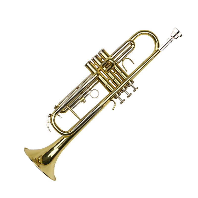 星海小号乐器专业演奏级管乐团儿童成人初学者降b调小号西洋铜管