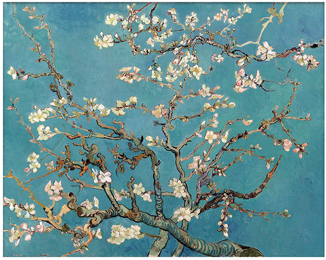 现货包邮3djp塑料平面拼图梵高梵谷开花花的拼图