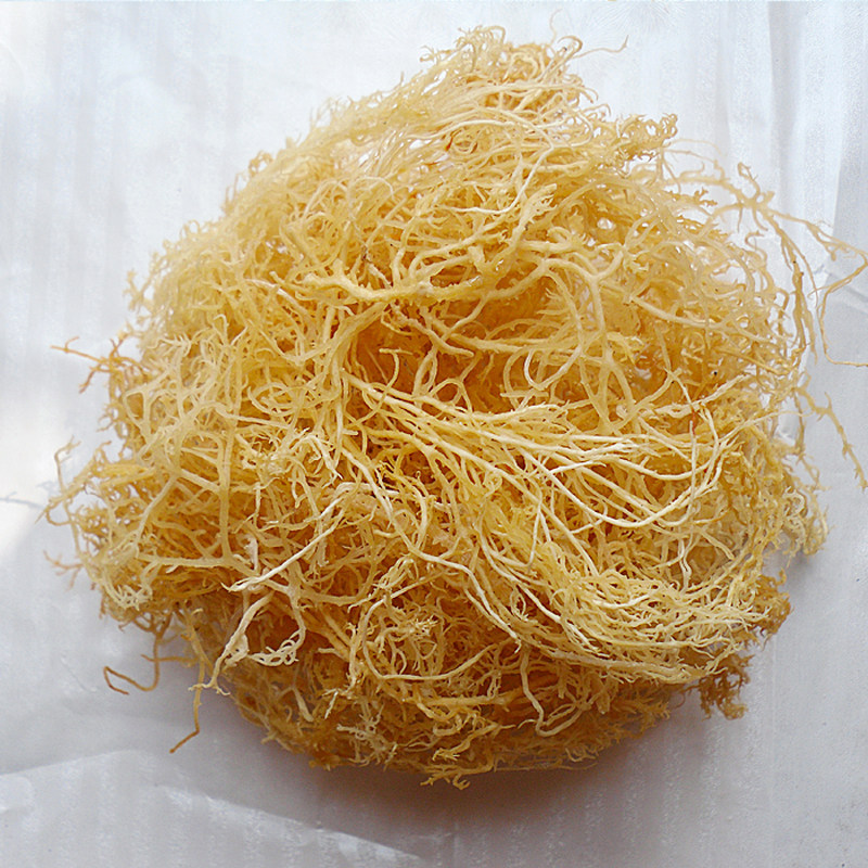 海货水产品野生海蜇丝海蜇头海蜇皮老醋蛰头蛰丝凉拌海鲜550g包邮