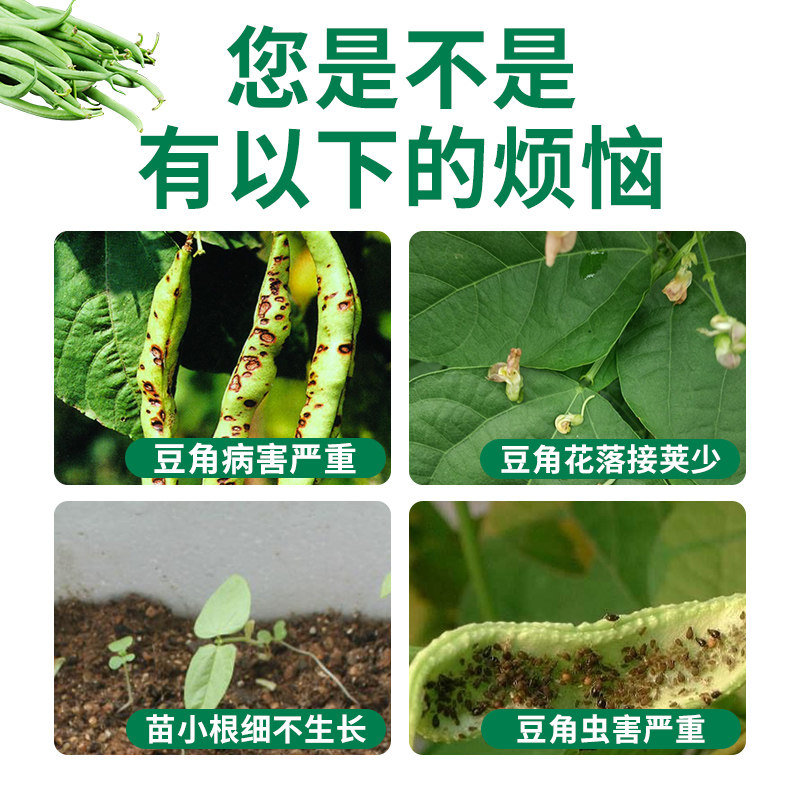 豆角蔬菜农药杀虫剂蚜虫锈病吡唑醚菌酯保花保杀菌剂