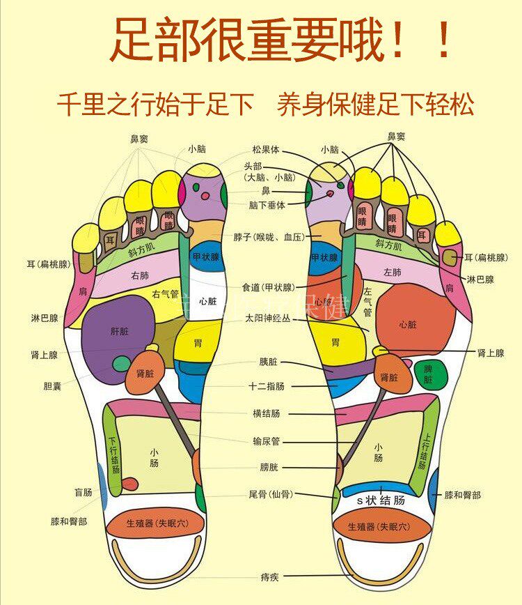 艾灸足部专用无烟脚部随身足底温灸足疗脚踝按摩温熏调理器