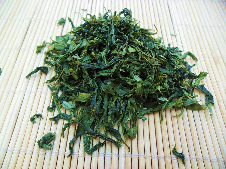 酸枣枣叶河南中岳嵩山野生叶茶芽茶枣芽茶山其它绿茶