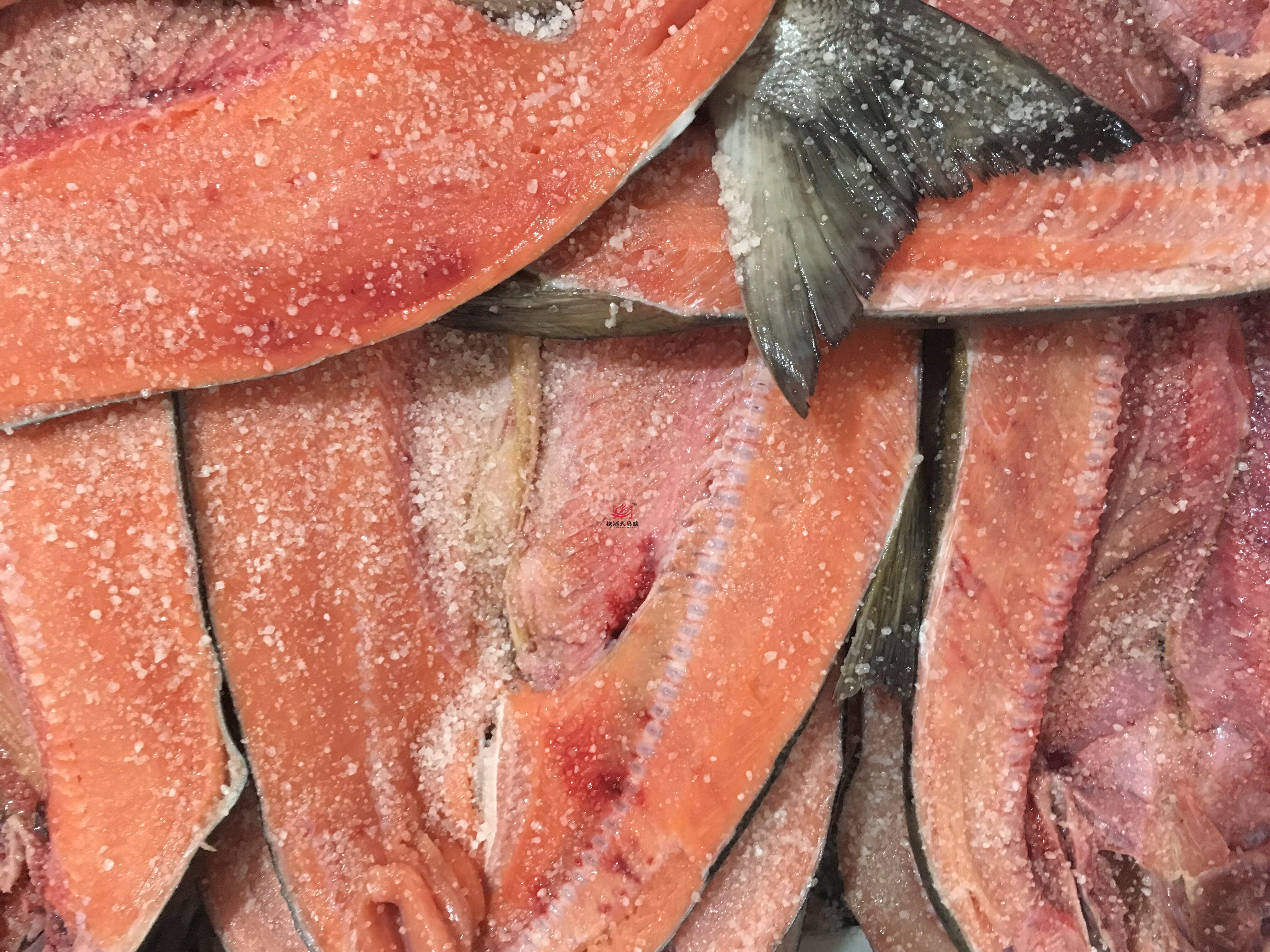 黑龙江抚远特产大马哈鱼木桶腌制新鲜不晾晒水腌大马哈鱼整条发货