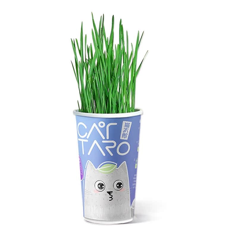 太郎喵星君猫草杯清理肠道健康天然猫草套装猫零食罐