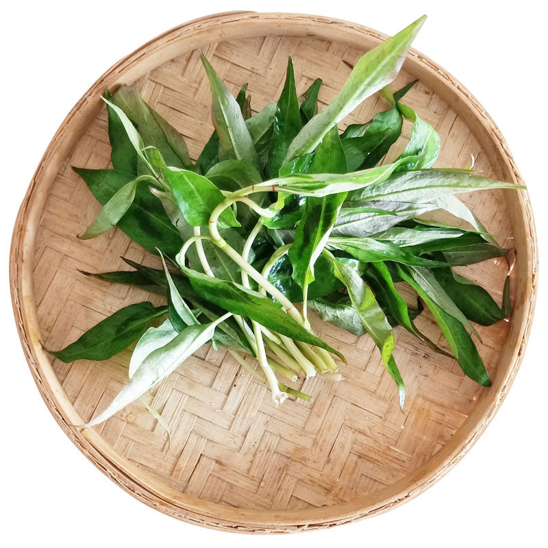 云南香柳香辣蓼鱼生新鲜蔬菜傣族香料撒撇佐料其它