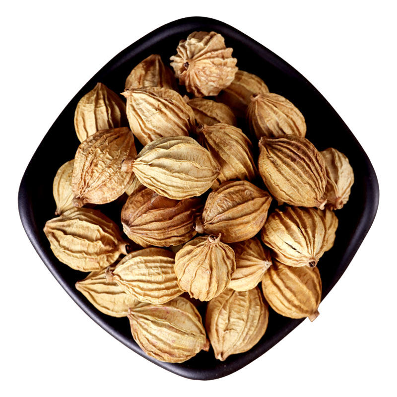 砂仁100g沙仁香砂优质四川特产炖肉卤菜调料风流果