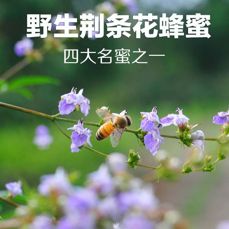 蕊得天然活性荆条蜂蜜成熟原蜜结晶950克蜂蜜