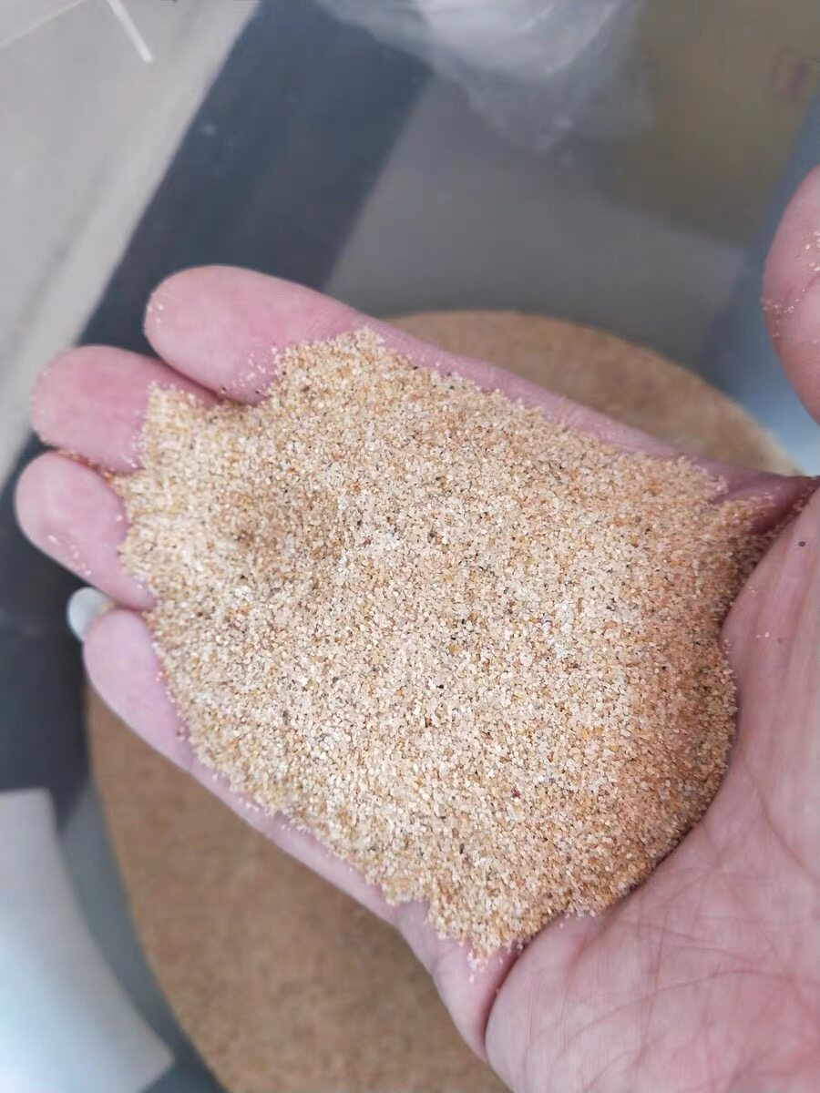 皇冠斑马狗头河豚专用沙黄金沙三湖南美缸鼠造景