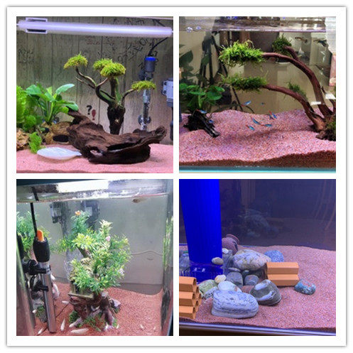 胭脂胭脂红5斤红沙鱼缸底沙多肉铺面鹅卵石造景造景