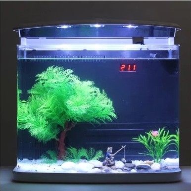 包邮顺丰蓝宝ada迪亚ki02迷你生态鱼缸水族箱桌面缸