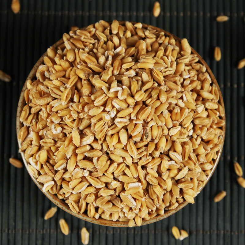 浮小麦盗汗浮小麦茶500克包邮另买甘草大枣浮麦