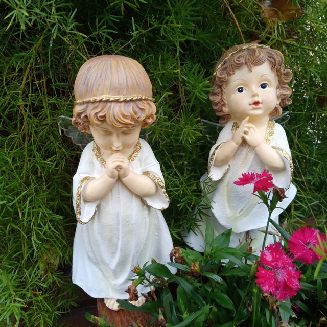 Girl praying angel ornaments snowman nursery home garden balcony fleshy flower gardening groceries fairies Girl praying angel ornaments snowman nursery home garden balcony fleshy flower gardening groceries fairies
