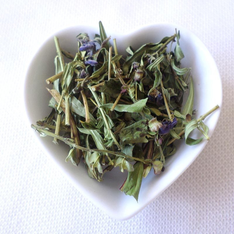 黄芩东北大兴安岭野生叶茶小叶茎叶新年新年新货花草茶黄芩