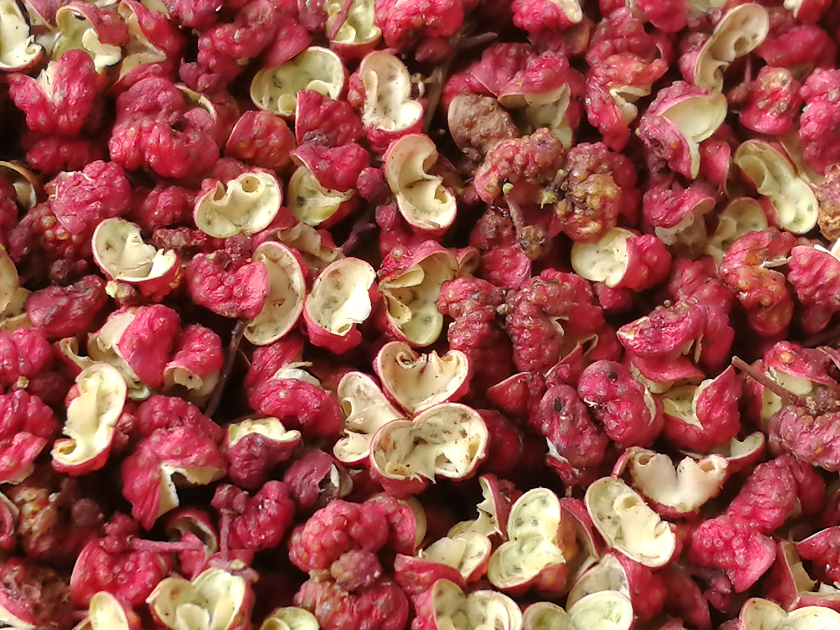 花椒凤椒陕西宝鸡凤县大红红袍梅花特香麻椒花椒