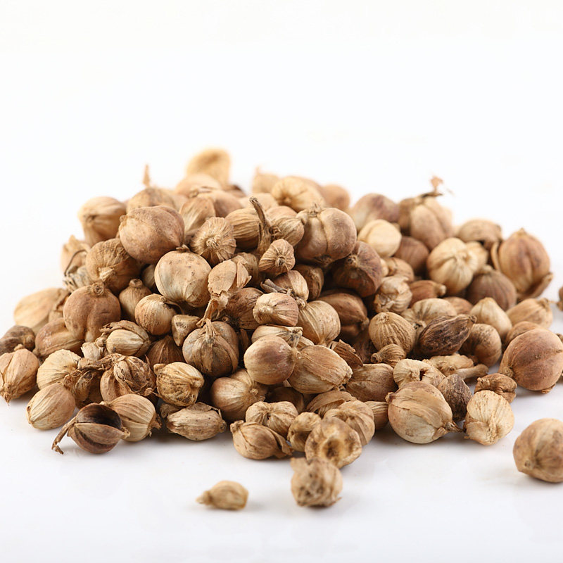 卤水菜男白寇40g白蔻白豆蔻调味品卤料料香辛料花椒